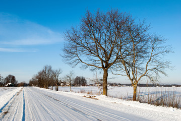 Obraz premium Winter Road in Lithuania