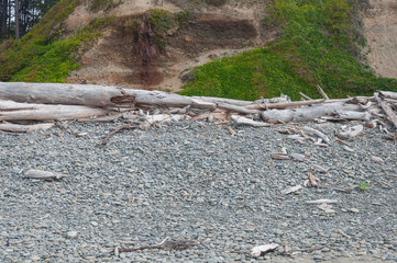 Pebble, wooden stems and ground in Beach 2 area, Kalaloch, WA