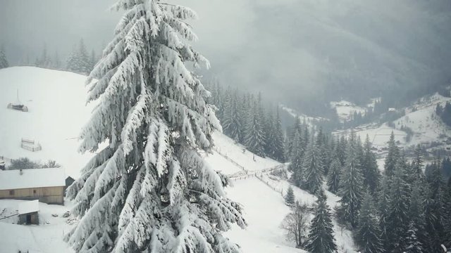 mountains in winter. Rural landscape. Happy New Year. frozen very beautiful trees. Winter tale.