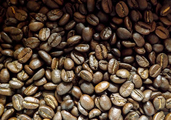 coffee beans background