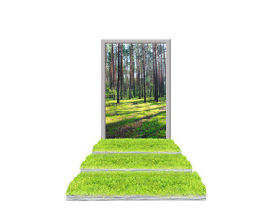 Stairs from green grass leading to forest isolated. Ecological concept