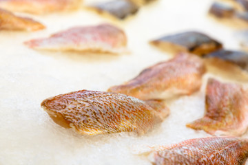 Different fish are on the ice in the shop window