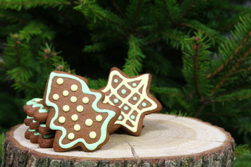 Świąteczna dekoracja - Xmas - ręcznie malowane pierniki choinka i gwiazda na tle świerku © Cezzar
