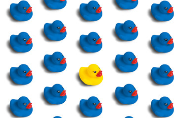 Group of blue toy ducks and only one desired duck on a white background. The concept of creative...