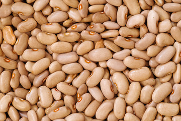 Dried Homegrown Beans