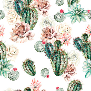 Watercolor pattern with cactus and rose . Illustration