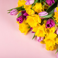 Beautiful Bunch of Tulips and yellow Daffodils on the Pink Background