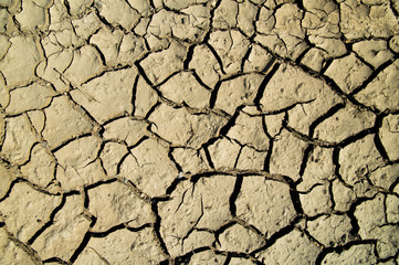 HOT YELLOW PATCH OF LAND OF DRY GROUND SHOT FROM ABOVE