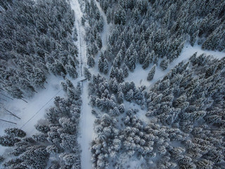 Aerial point of view of snow and forest in the cold morning winter