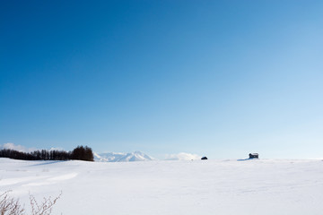Fototapeta na wymiar 雪原と青空と雪山の山頂　十勝岳連峰