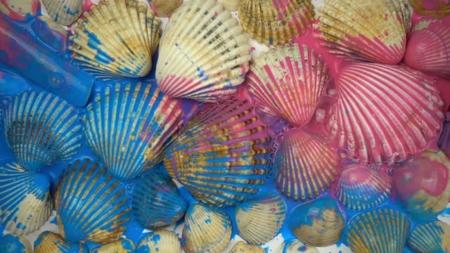 Falling paints on seashells in slow motion