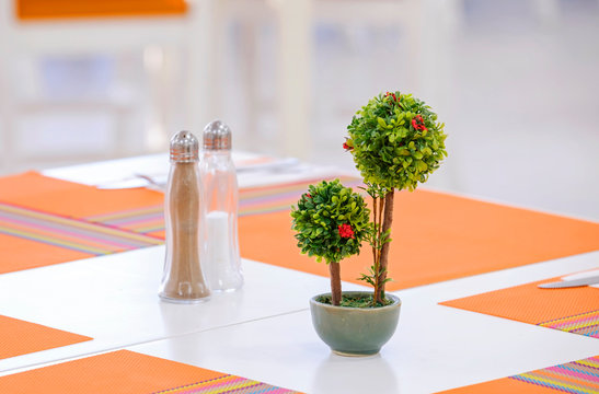 Small trees on the table 1