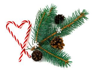 branch of a Christmas tree, cones and lollipops on a white background.