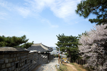 Suwon Hwaseong Fortress is a fortress wall during the Joseon Dynasty and is a World Heritage Site owned by Korea.
