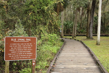 Blue Springs Trail Sign