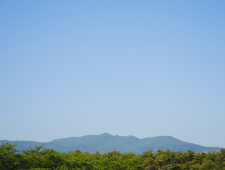 木　山　空　素材