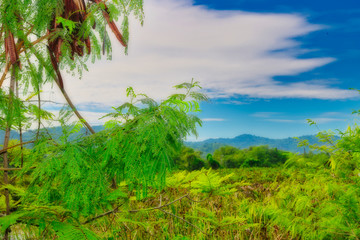 Thailands traumhafte Natur