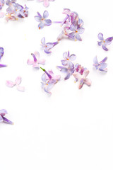 Obraz na płótnie Canvas Spring flowers. Purple Lilac flowers blossom petals on white background. Top view, flat lay, copy space