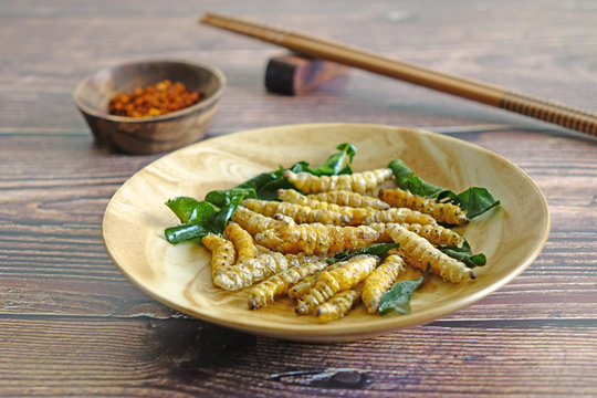 Crispy Salted Fried Insects. Entomophagy : Edible Insects, Other Natural Sources Of Nutrients. Awesome Exotic Food / Fusion Food. Selective Focus