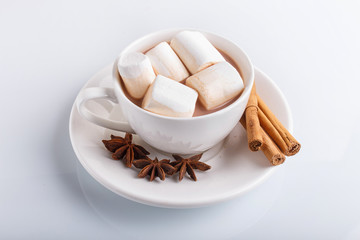 a cup of hot chocolate with marshmallow and cinnamon isolated on white.