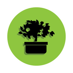 Orange tree in green badge icon