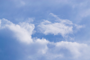 The summer blue sky.