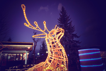 Reindeer light bulb in Christmas day