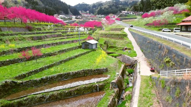 ドローン空撮 天国に一番近い里 上昇
