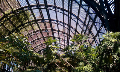 Abstract of the open roof at the Arboretum at Balboa Park San Diego
