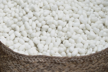 silkworm (Bombyx Mori) cocoons. This is a natural source of silk before it's processed.Natural white cocoon or silkworm nets for background, a source of silk thread and silk fabric