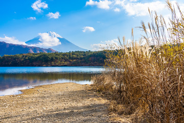 Beautiful landscape of mountain fuji with maple leaf tree around lake