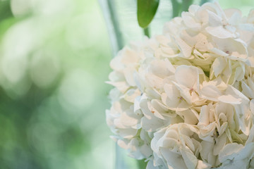 Obraz premium Bouquet of white flowers in a vase, candles. wedding home decor on a table