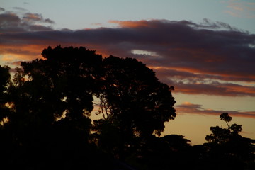 Fototapeta premium orange, sunrise,