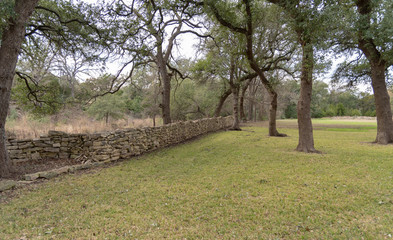 stone wall in the forest