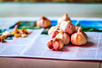 White Garlic 1