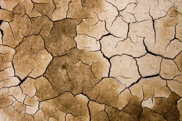 Drought-induced land.