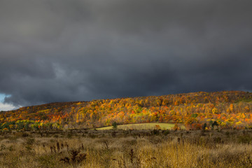 Autumn foliage in the Mohawk Valley, Montgomery County, New York State, USA.