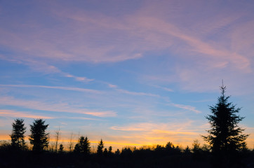 Obraz premium red and orange clouds