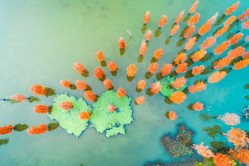 Colorful autumn forest and quiet lake scenery in the nature park,aerial view