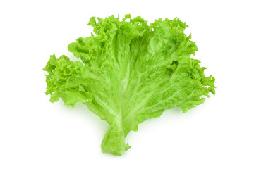 Lettuce leaf isolated on white background close up
