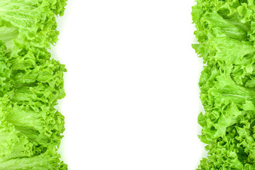 Lettuce leaf isolated on white background with copy space for your text. Set or collection