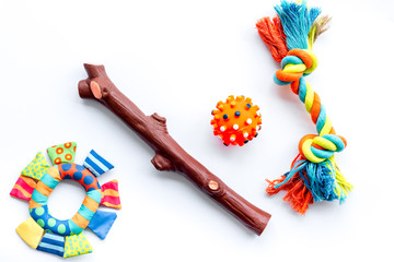 care about pet with toys and grooming equipment white background top view