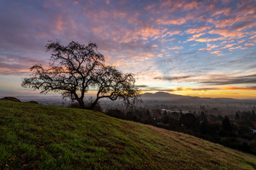 Dinosaur Hill Park at Dawn 