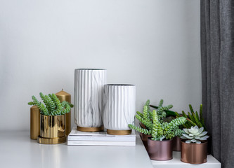 White Ceramic paint in natural marble patten setting on minimal books and surrounded with gold and copper pots with artificial plants inside / object / cozy interior concept / scene setting