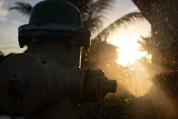 Fire hydrant sunset