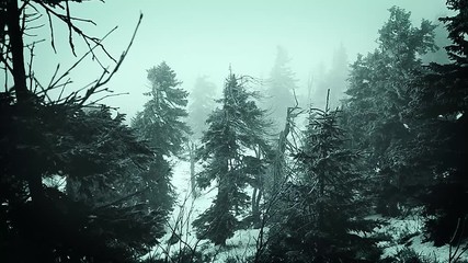 Mountains winter the fog nature Slovakia