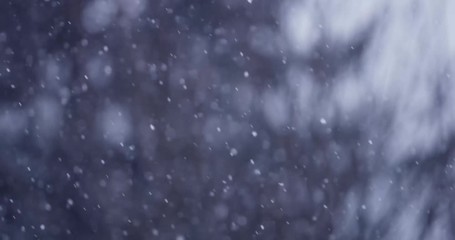 Winter scene with snow falling background 4K