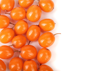 Sea buckthorn. Fresh ripe berry isolated on white background with copy space for your text. Top view. Flat lay pattern