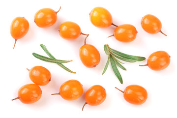 Sea buckthorn. Fresh ripe berry with leaves isolated on white background. Top view. Flat lay pattern