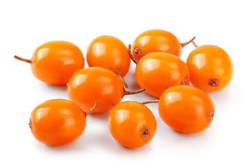 Sea buckthorn. Fresh ripe berry isolated on white background macro